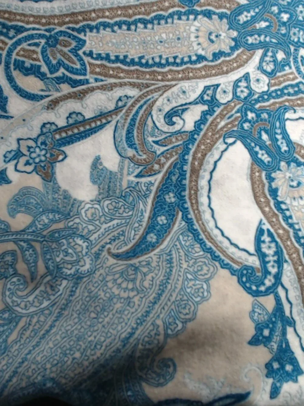 💙 Chico's Beautiful Blue Paisley/Leopard Fringed Ruana Wrap 💙 REVERSIBLE!